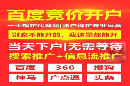 SEM托管服务成功案例：见证品牌成长